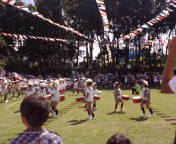 みどり幼稚園運動会.jpgのサムネール画像